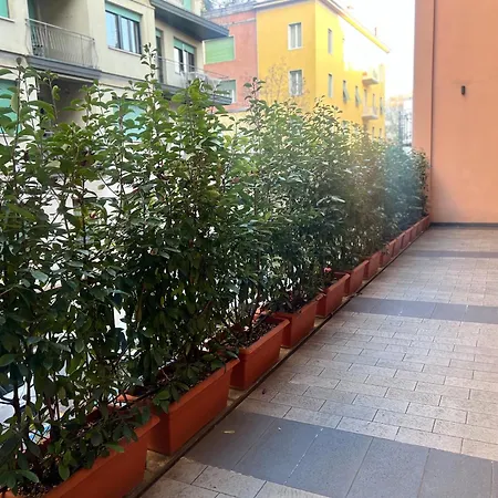 Borghesi - Nel Centro Di !